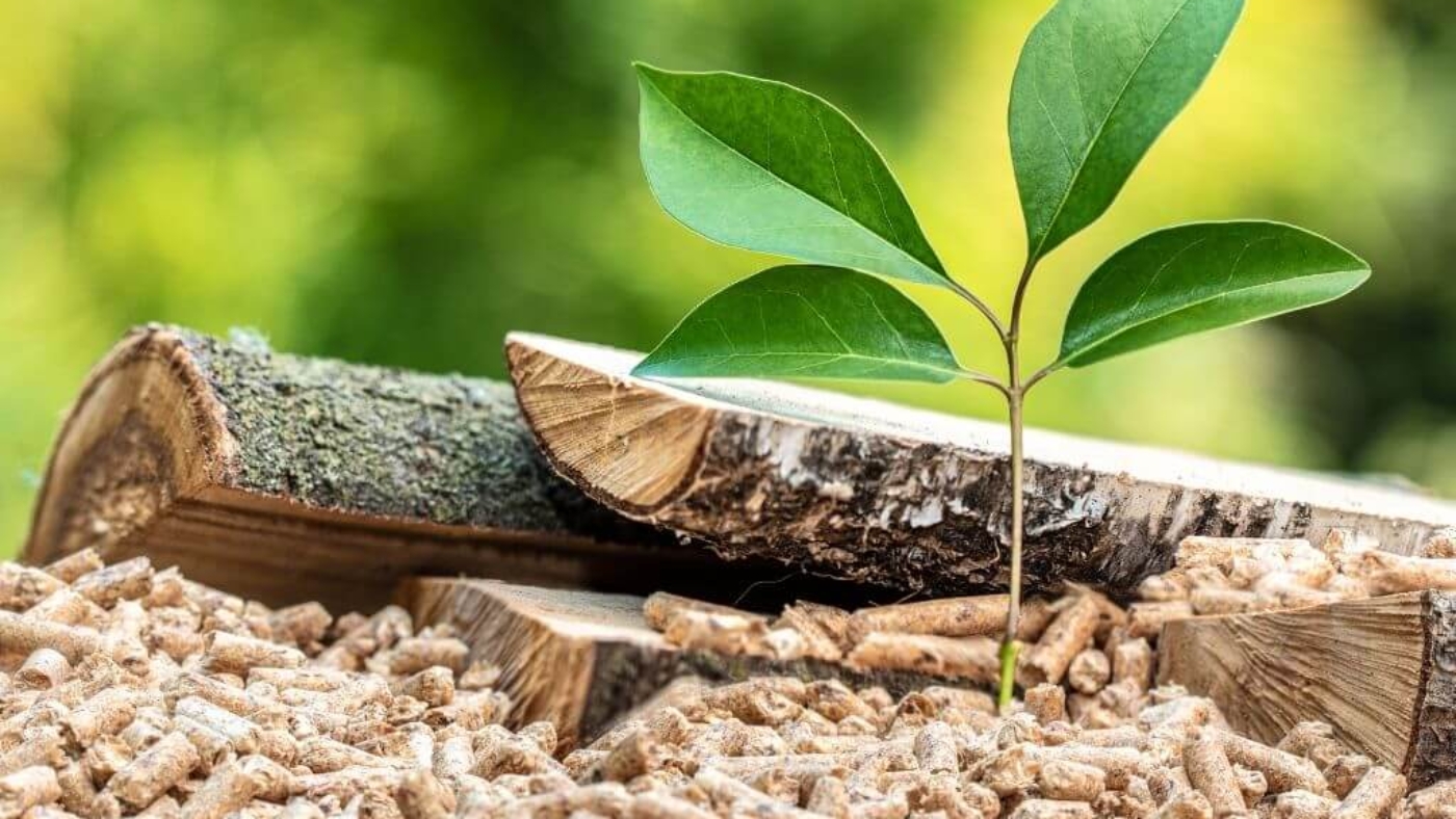 Sürdürülebilir Ahsap Palet