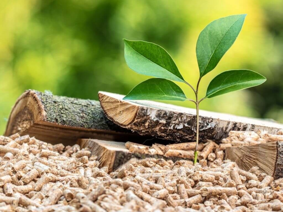 Sürdürülebilir Ahsap Palet