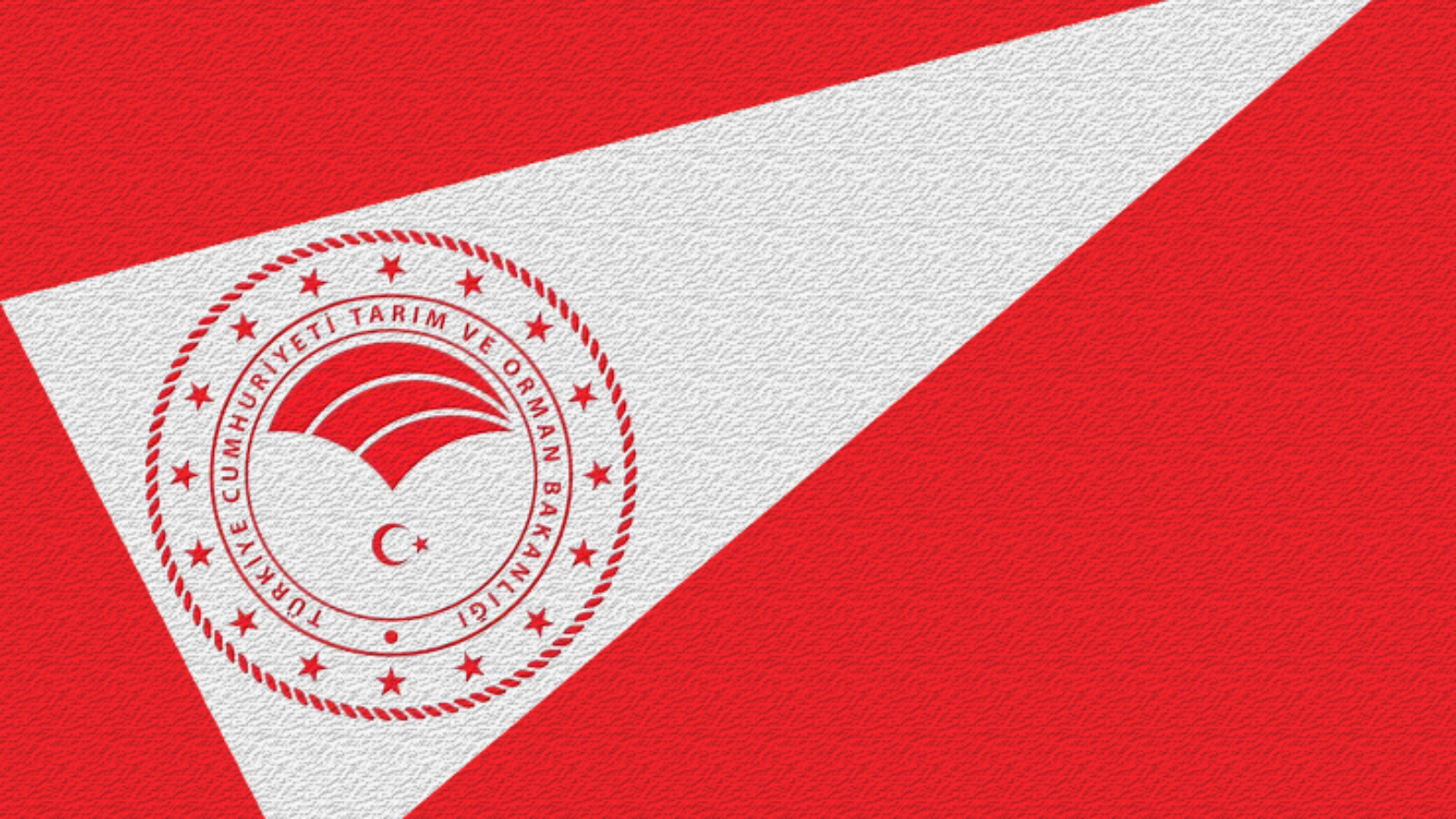 ahsap_ambalaj_yonetmenligi