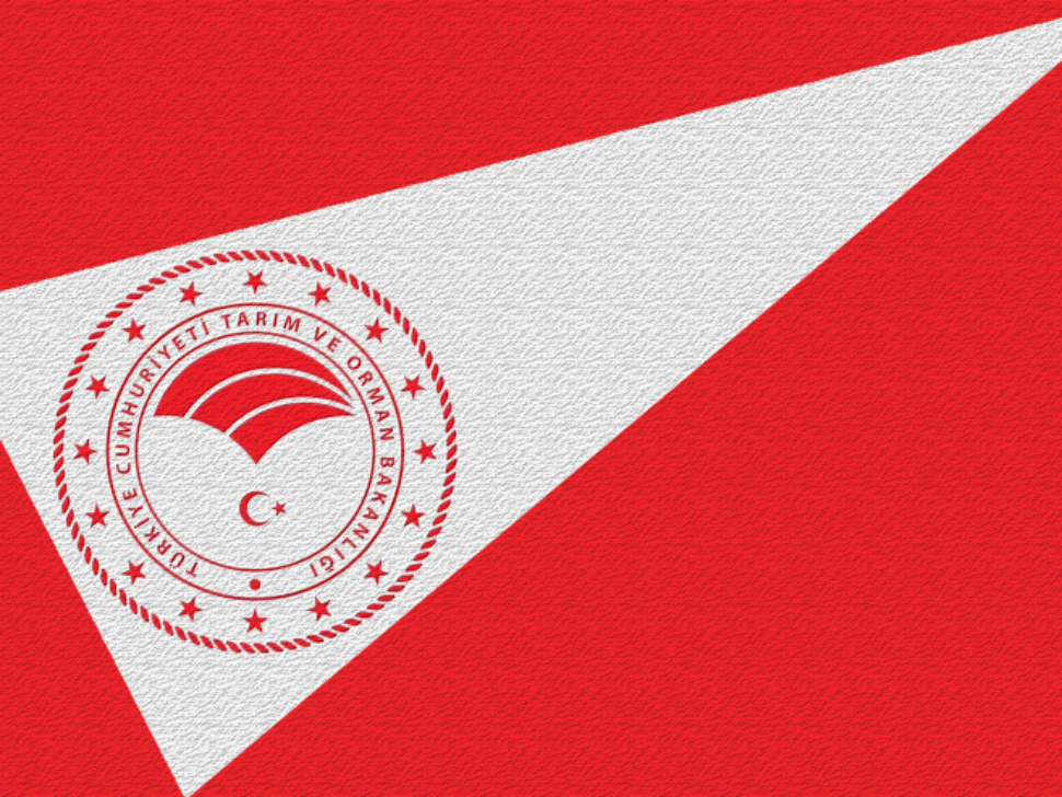 ahsap_ambalaj_yonetmenligi